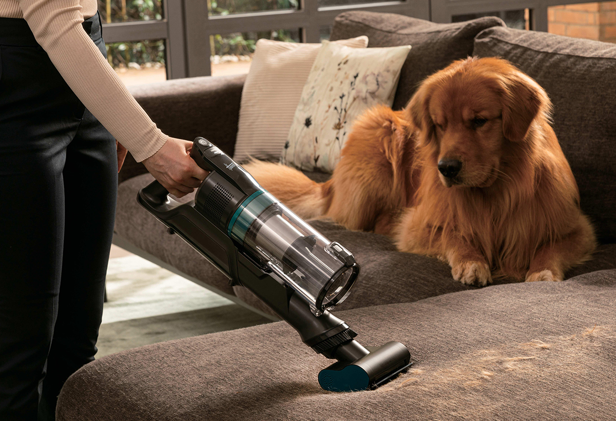 Μια γυναίκα καθαρίζει τον καναπέ που είναι ξαπλωμένος ένας σκύλος.